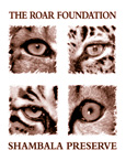 shambala_logo_duotone