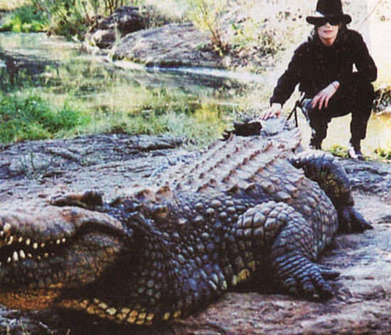 Tiger King: The truth about Michael Jackson's Alligators. - MJVibe
