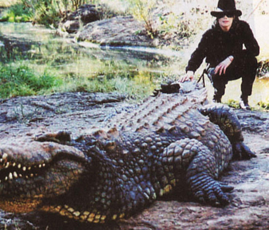 Tiger King: la vérité sur les alligators de Michael Jackson. Michael_and_Alligator1