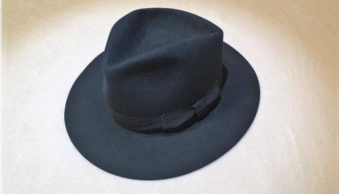 fedora-HIS01-696x398.jpg