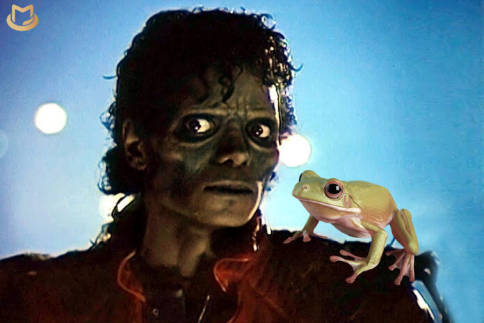 Thriller’s frog bass explained Thriller-Frog-696x464